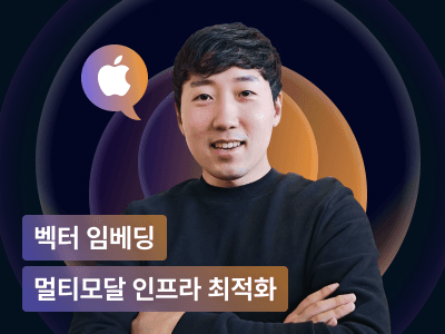 실리콘밸리 AI 개발자의 멀티모달 벡터 임베딩 마스터클래스 : 모델 파인튜닝부터 인프라 최적화까지