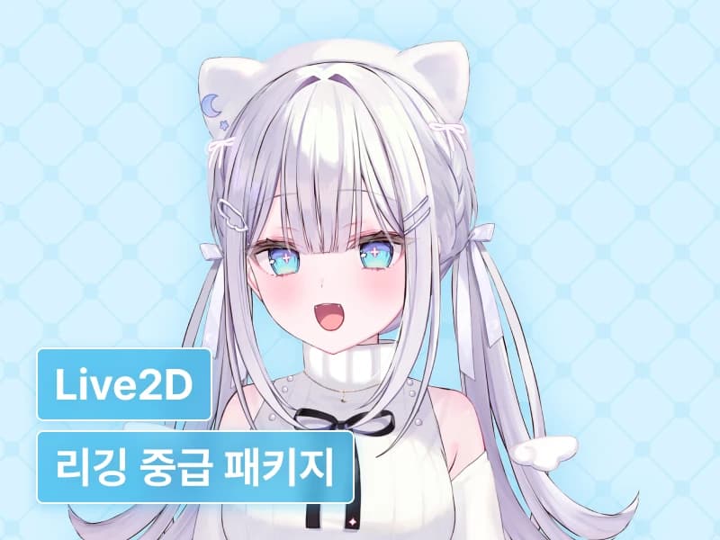 CLASS : 생동감 있는 Live2D 리깅 디테일을 더한 리깅&수익화