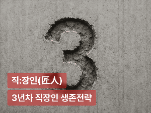 3년차의 벽  : 신입도 아니고 경력도 아닌 나를 위한 생존 전략
