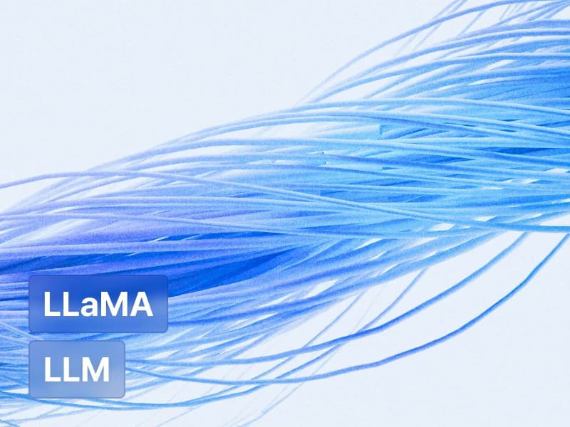 대규모 언어모델 LLAMA를 활용한 프로젝트 구현과 Fine tuning