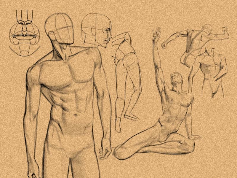 새삐의 모두를 위한 인체도형화 & 해부학 마스터