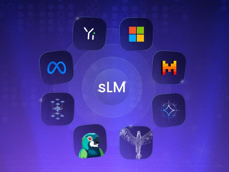 8개의 sLM 모델로 끝내는 sLM 파인튜닝